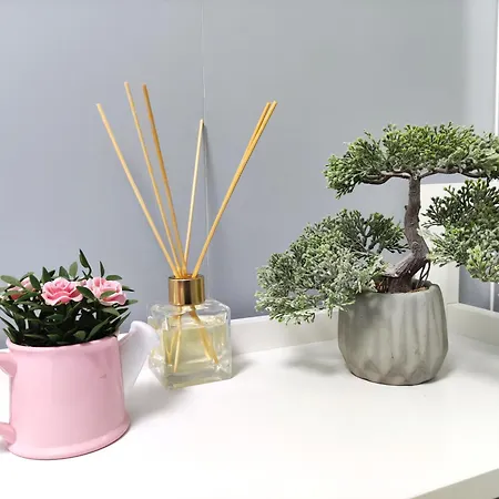 Lejlighed Studio'24 - Tomis Mall - Ultracentral Constanţa
