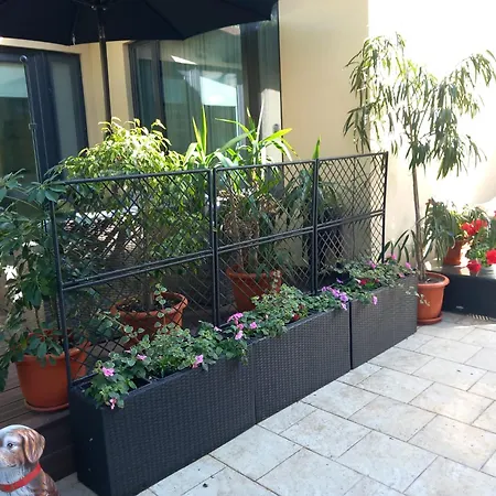 Apartmán Studio'24 - Adults Only *