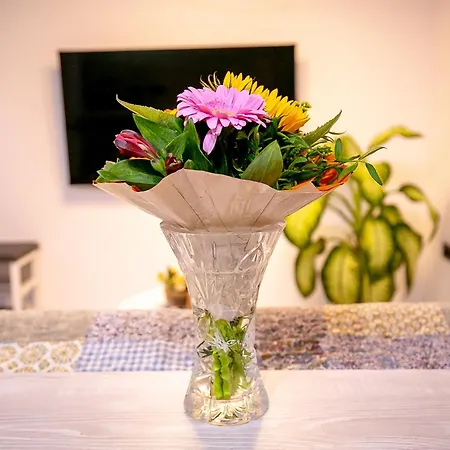 Studio'24 - Adults Only Apartament Constanţa